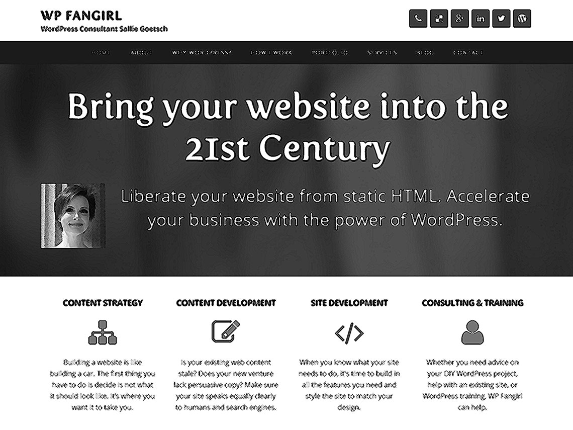 screenshot of wpfangirl.com, crosshatched